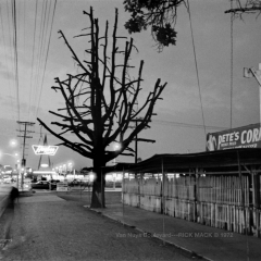 VN Blvd.-071-23A 'Pete's Corn, Bare Trees'