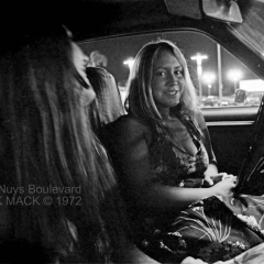 VN Blvd.-009-32 'Repeat Performance'