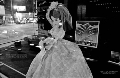 VN Blvd.-081-17 <strong>'Wedding Doll'</strong>